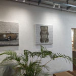 SAXA Atelier Impressionen 2, Foto, Kunstverein